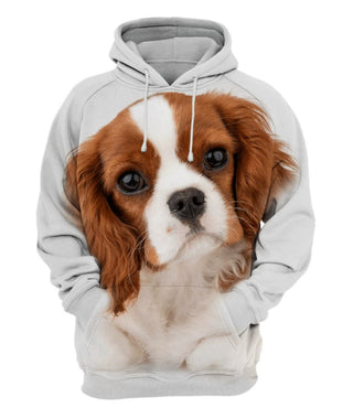 a2a5a2952d2442a070124cae20752dcb